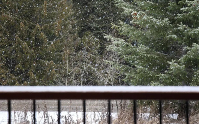 Timberline Lodges by Fernie Lodging Company