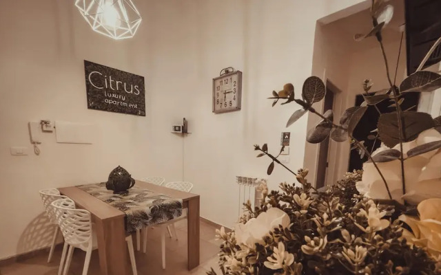 Citrus Luxury Apartment Palermo - up to 3 Bedrooms