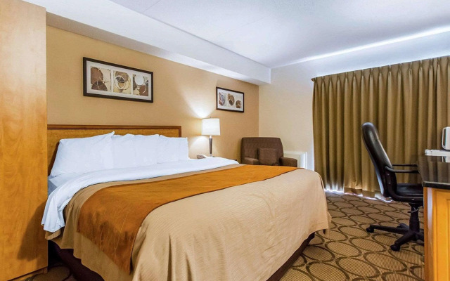 Comfort Inn East