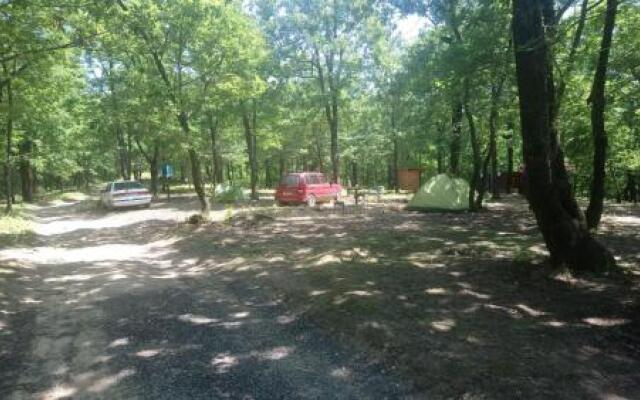 Camping Gorizont