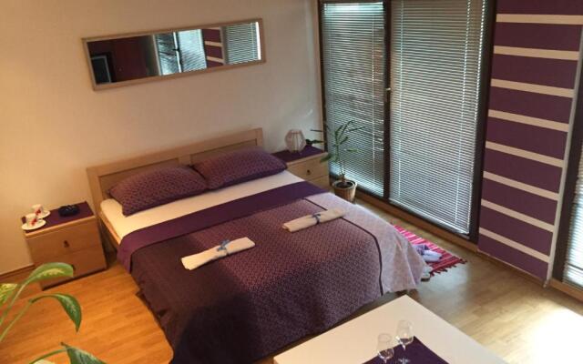 Hostel Lega House