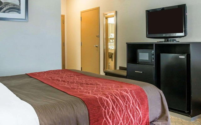 Comfort Inn & Suites Maumee - Toledo (I80-90)