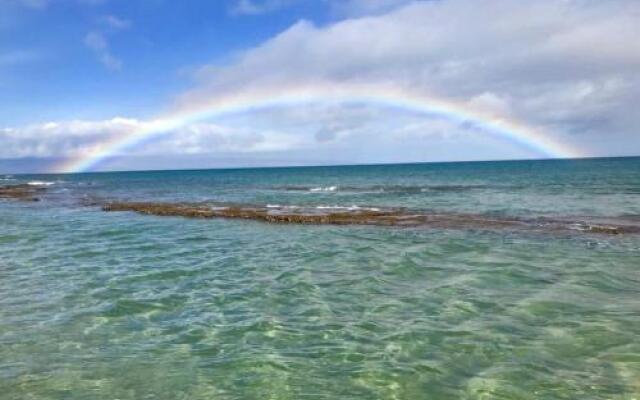Lahaina Luxury Beach Condos