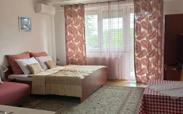 Alex Apartman