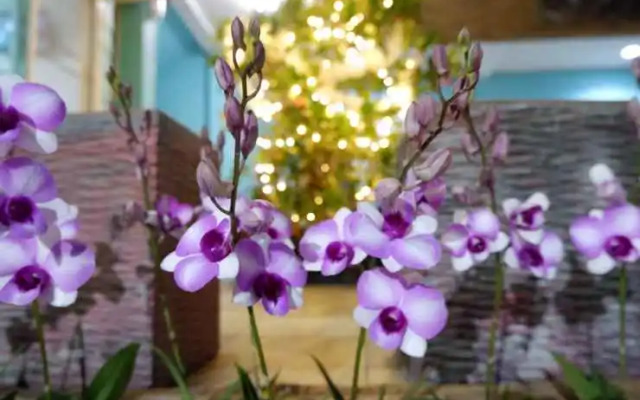 RuenAiyara Apartment