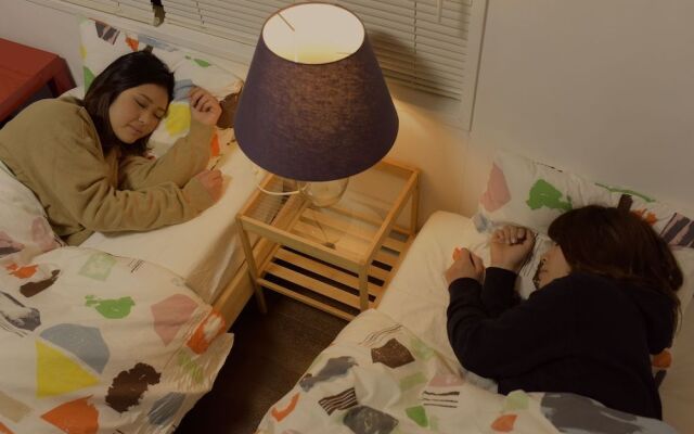 Guesthouse Irieyado