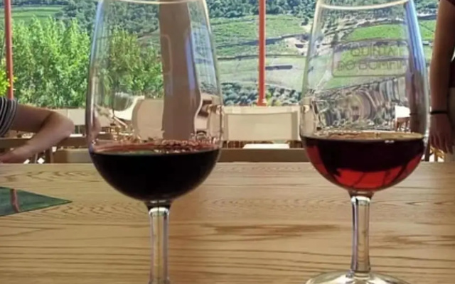 Haro San Vino Wine Fight Camping