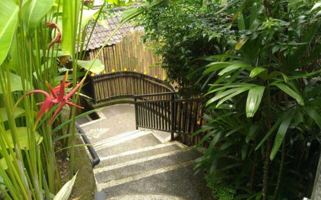 Rumah Kelinci