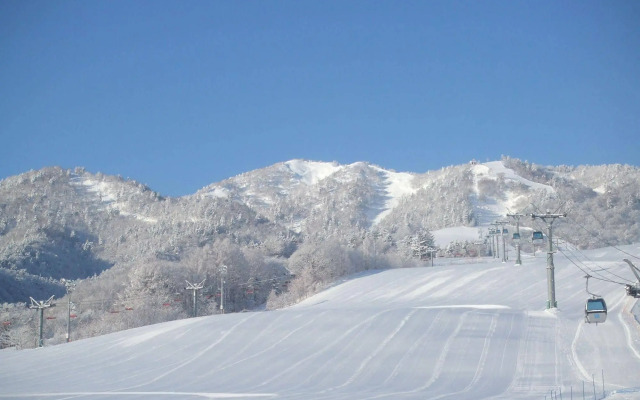 Premier Hotel Cabin Asahikawa