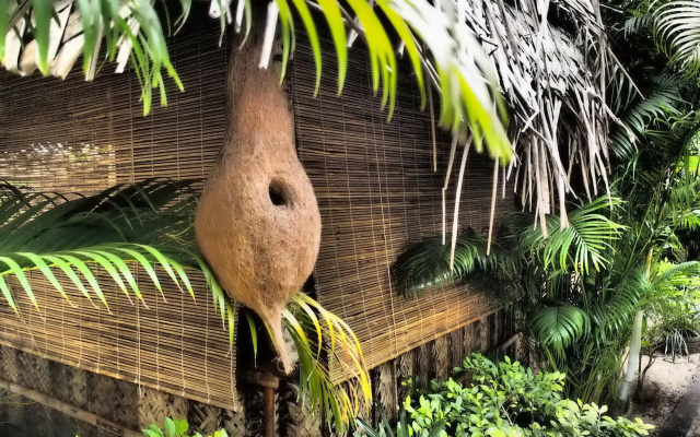 The Palm Trees Resort