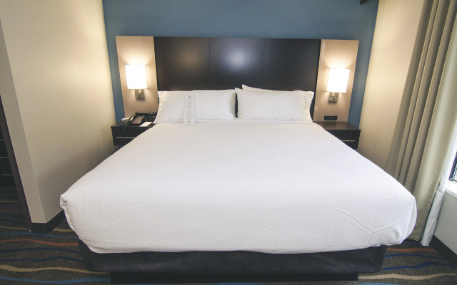 Holiday Inn Hotel & Suites Chattanooga Downtown by IHG