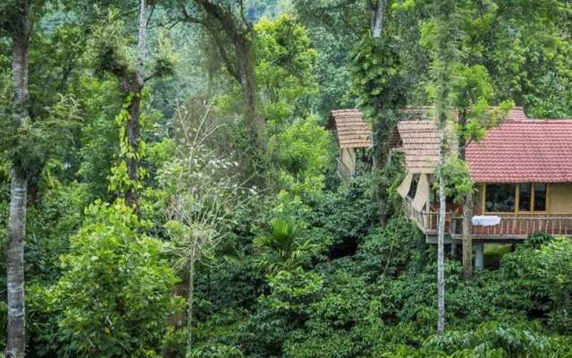 The Coffee County Resorts