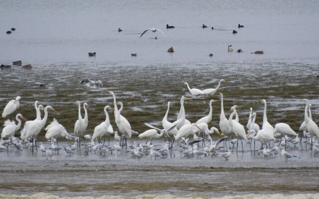 Domaine de la côte aux chats