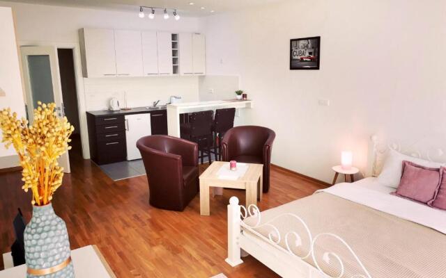 VIKONT studio apartment with free parking and WiFi