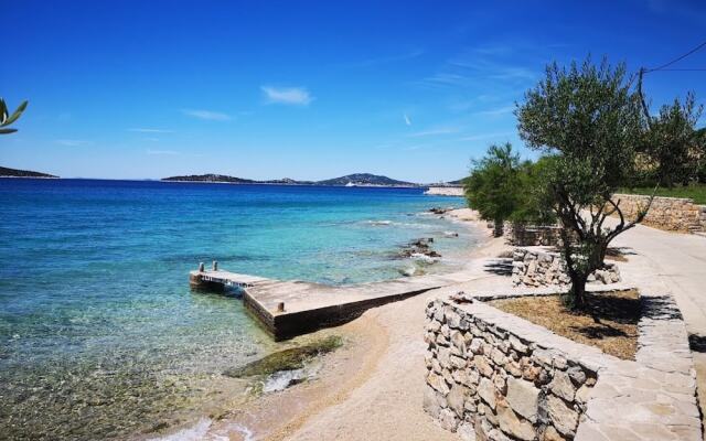 Delfin - sea View - A3 Zeleni