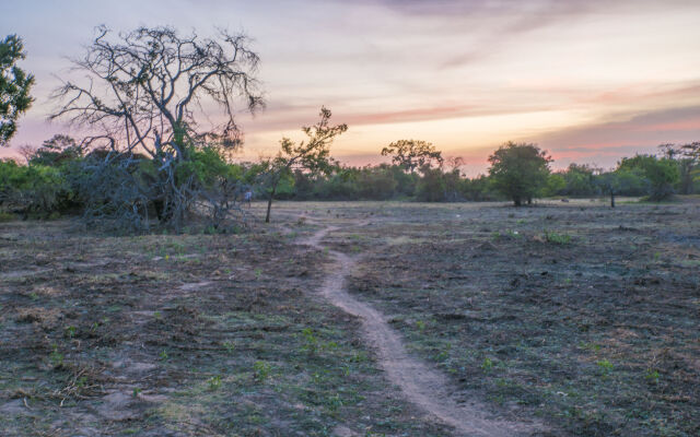 Elephant Lake Yala