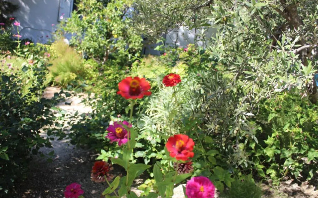 Spiti tou Papa sto Vouno