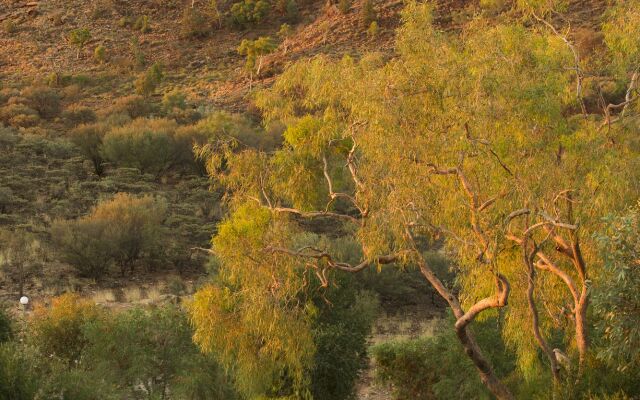 Discovery Parks - Alice Springs