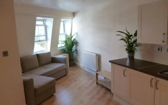Modern 1 Bedroom Flat With Great Transport Links