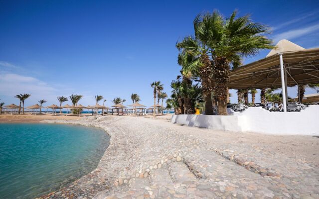 Calimera Blend Paradise
