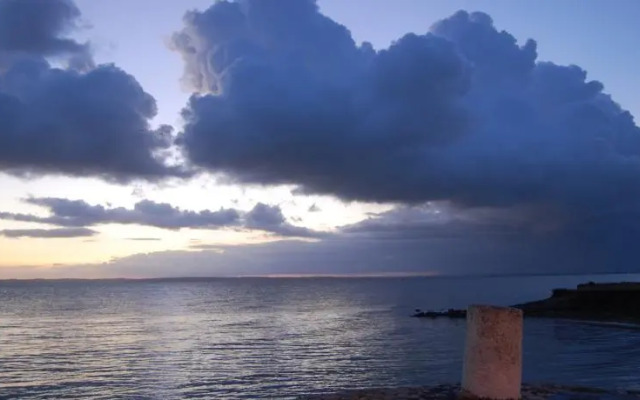 The French Home Cooking