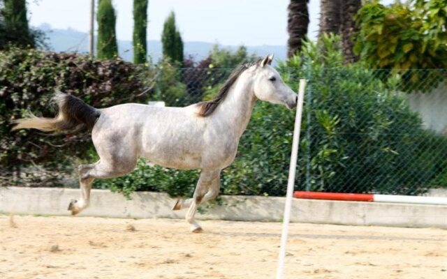 Casa Costa Relais B&B