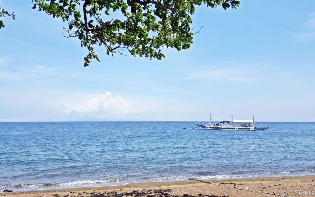 Mike's Dauin Beach Resort
