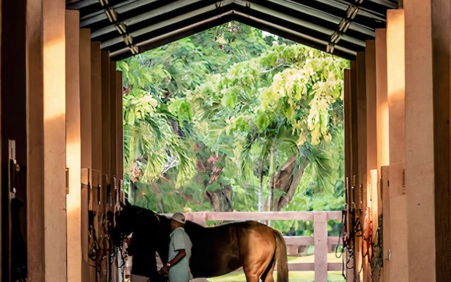 Sea Horse Ranch Villas by Caribe Stays