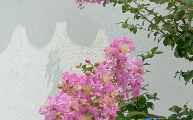Yumo Boutique Guesthouse