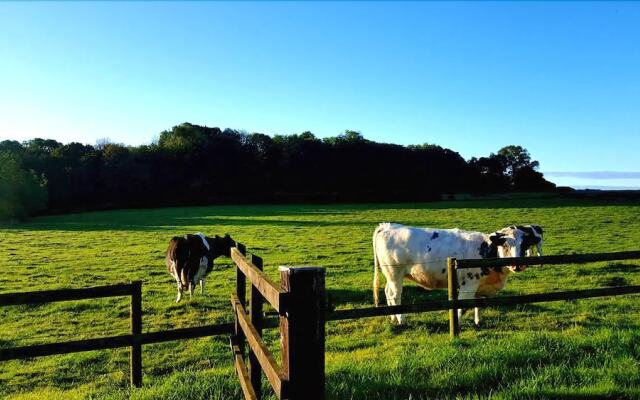 The Old Stables Bed & Breakfast