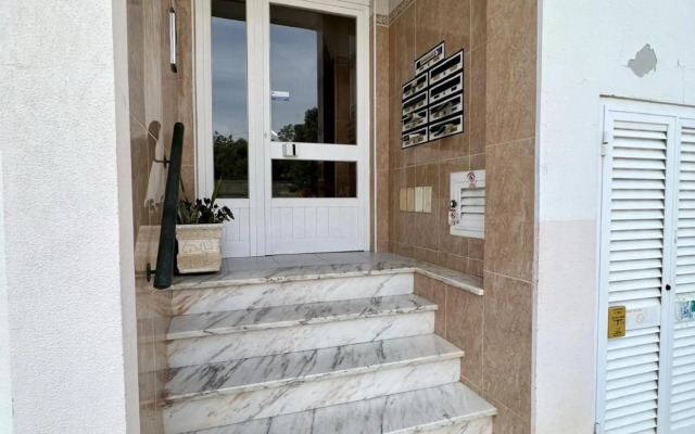 PORTIMAO TYPICAL by HOMING