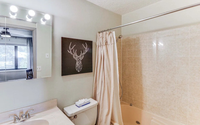 Walk to Town & Slopes: Riverfront Breckenridge Gem