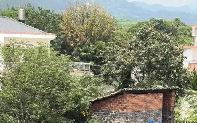 Lushan No.6 Guesthouse