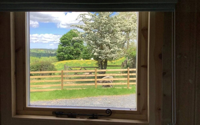 The Shepherds Hut at Hafoty Boeth