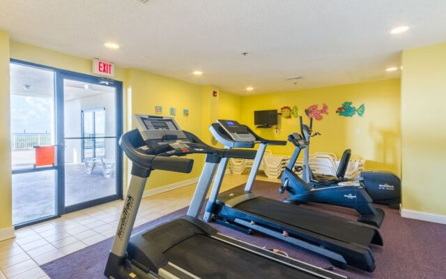 Tropical Winds by Hosteeva