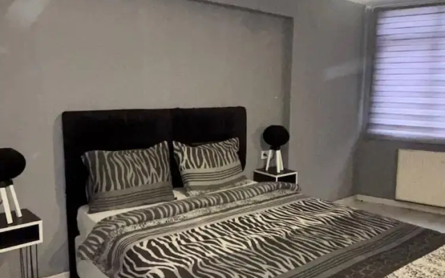 N0 19 Rental Hause