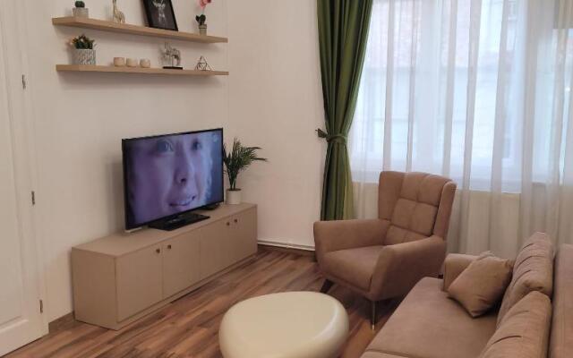 B8 - Spacious, Charming Apartment in Central Sibiu