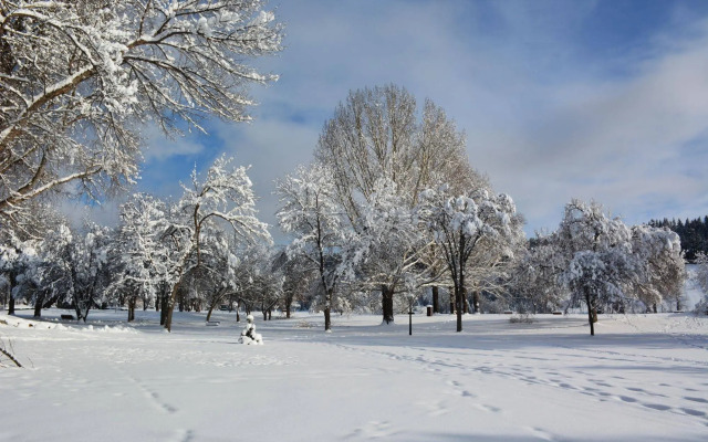Queensway Court Motel