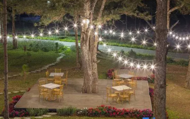 Kim Resort - Khu Nghĩ Dưỡng Rừng Lá Kim