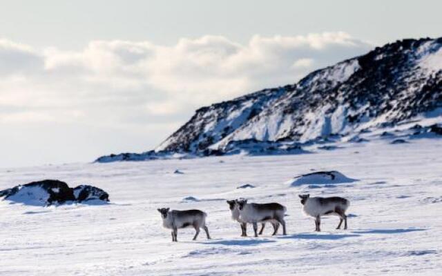 Svalbard Hotell - The Vault