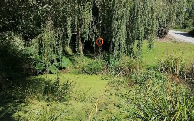 The Old Lime Kiln