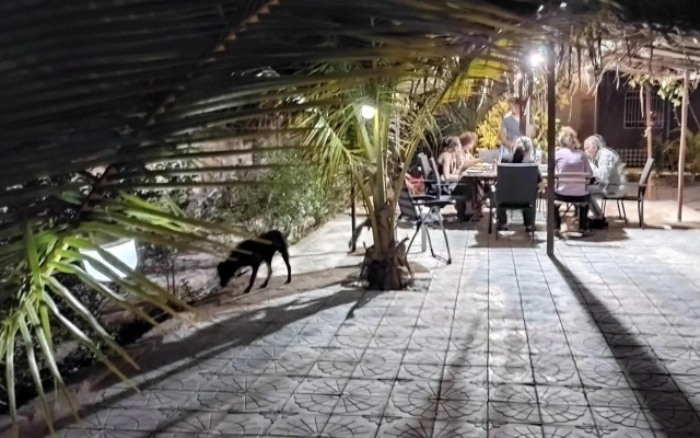 Real Owl Guest House