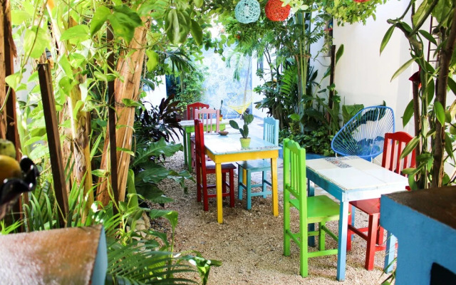 Vainilla B&B Mexico