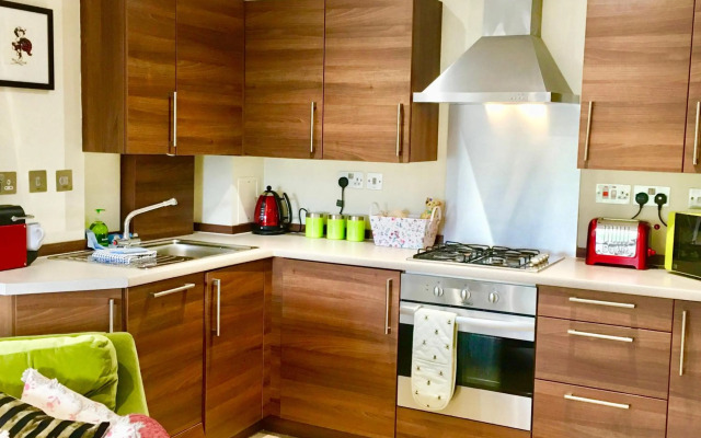 The Little Beech Tree