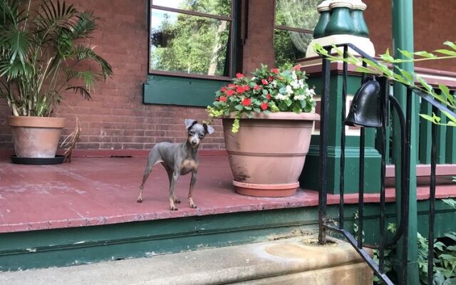 The Gables Bed and Breakfast Philadelphia