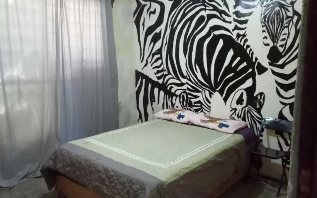 La Casa Del Nenufar - Hostel