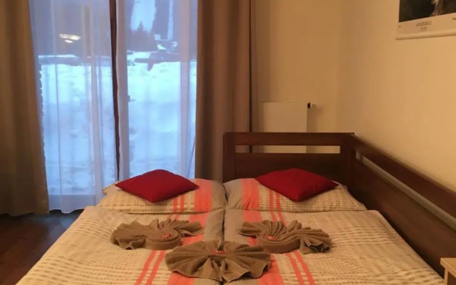 Apartment Medvedin 87
