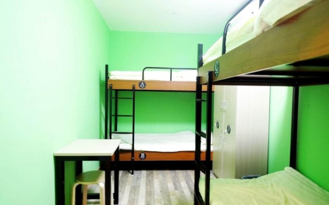 Meet Fish International Youth Hostel