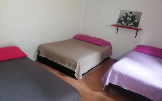 Casita del Arbol