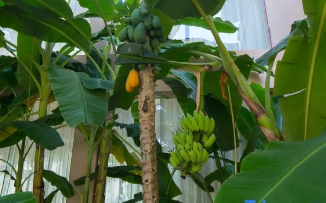 Xishuangbanna Lanzhu Villa Hotel